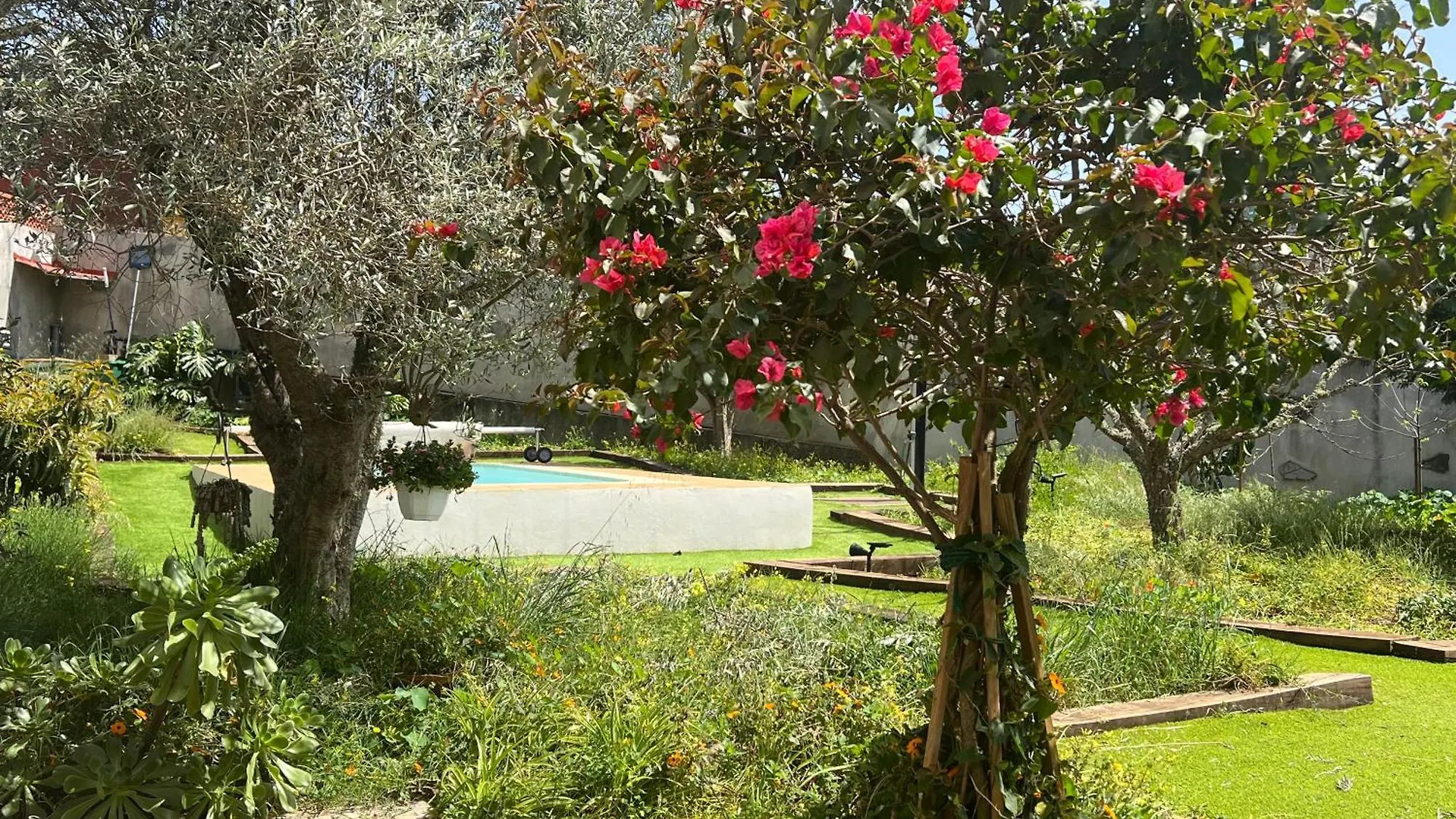 Villa Arrebol Azul Valleseco 0*,  Spain
